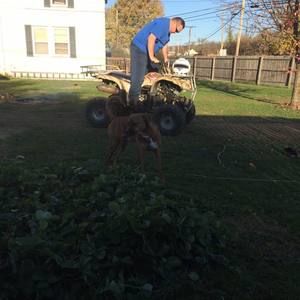 Meet your Posher, James